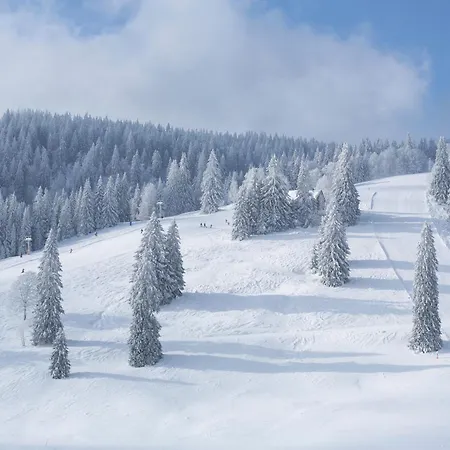 Turmblick Apartamento *