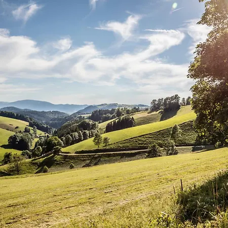 Apartamento Turmblick Oberried (Breisgau)